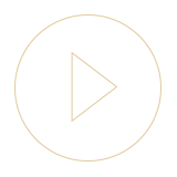 Video abspielen